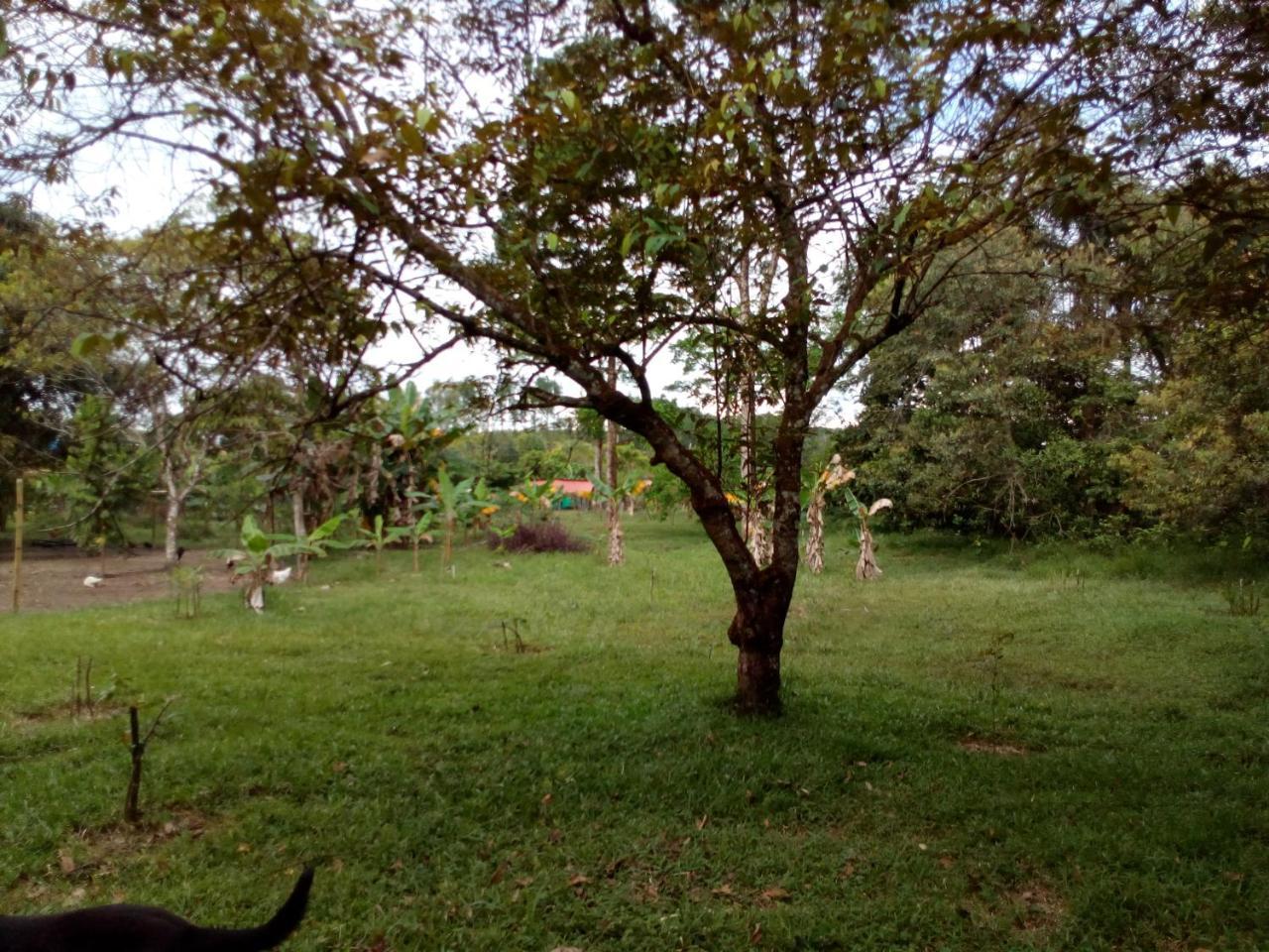 Finca La Miradita Villa Cumaral Exterior photo